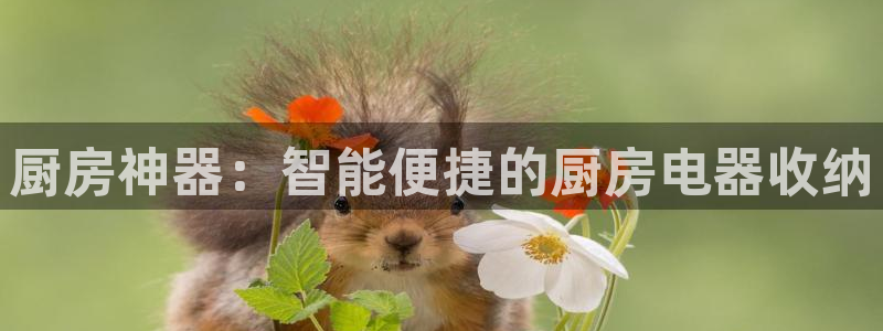 摩登招商丨金手指科捷7